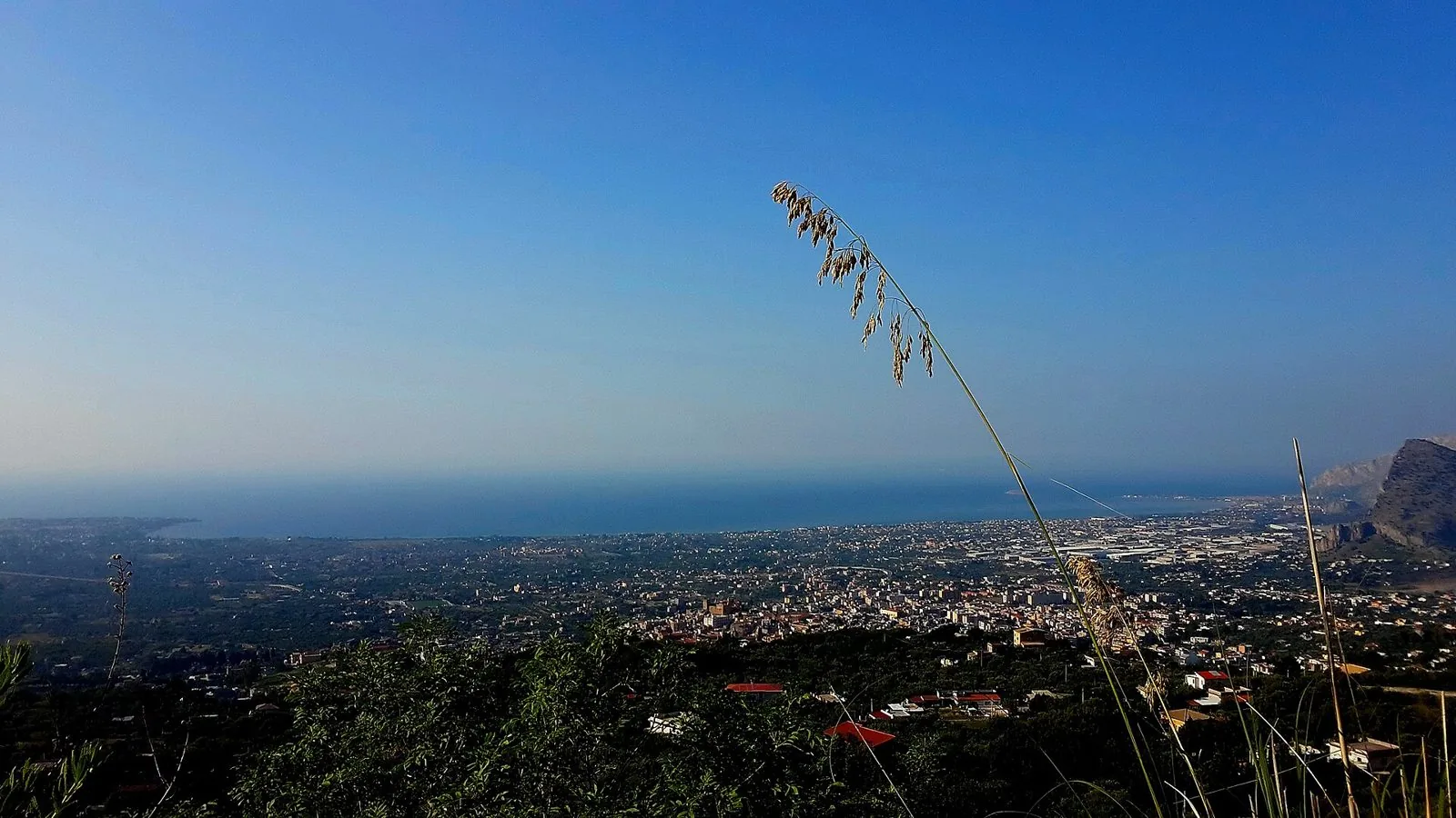 Vista dall'alto della piana e del golfo di Carini sotto un cielo azzurro, con il mare all'orizzonte